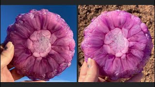  Stunning Atomic Flower In New Rose Mold 