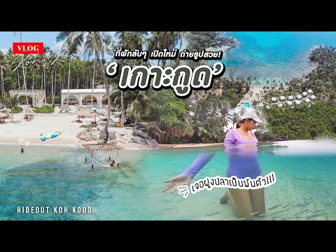 VLOG เที่ยวทะเลเกาะกูด งบคนละ 1,000 ต่อคืน ที่พักสวย น้ำใส เจอฝูงปลาเป็นพันตัว! Hideout Koh Kood