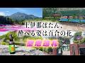 【聖地巡礼】絶対"秩父"に行きたくなる!?『上伊那ぼたん、酔へる姿は百合の花』のモデル地を巡ってきた!!【2026年春アニメ】