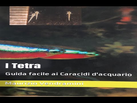 Presentazione libro: Guida facile ai Caracidi d&rsquo;acquario