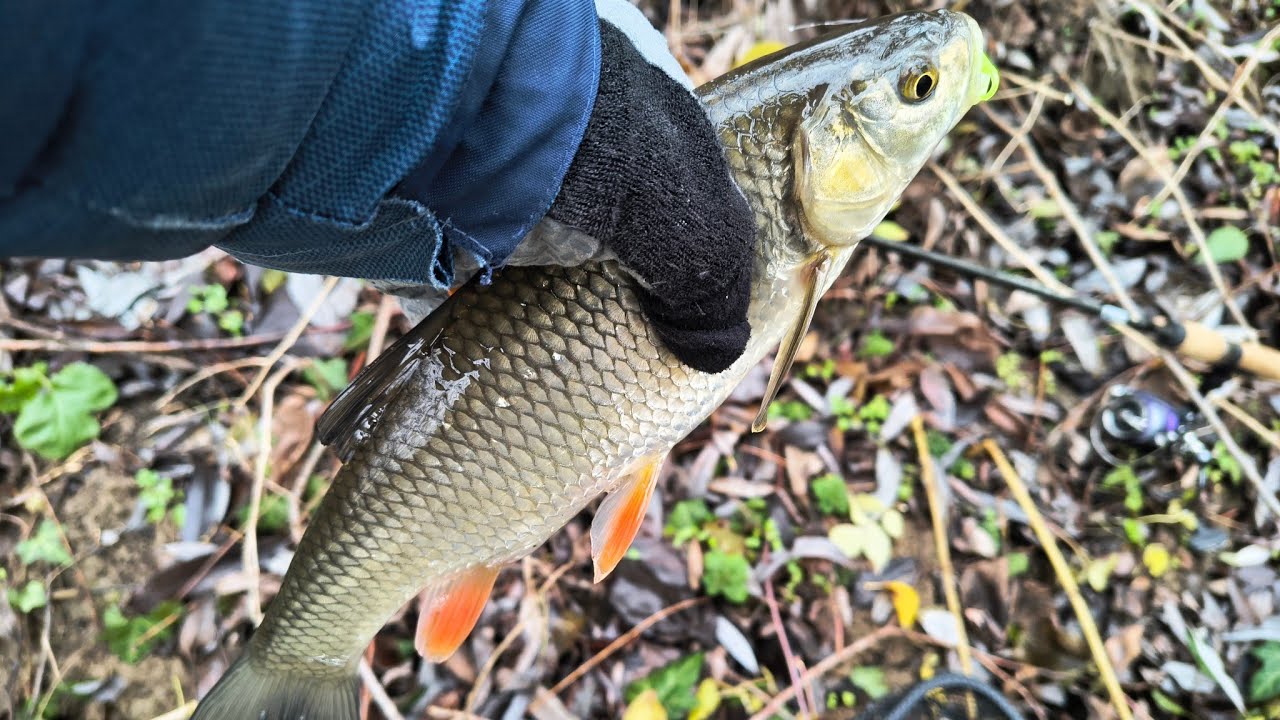 Pescuit iarna pe ger la gume!!!