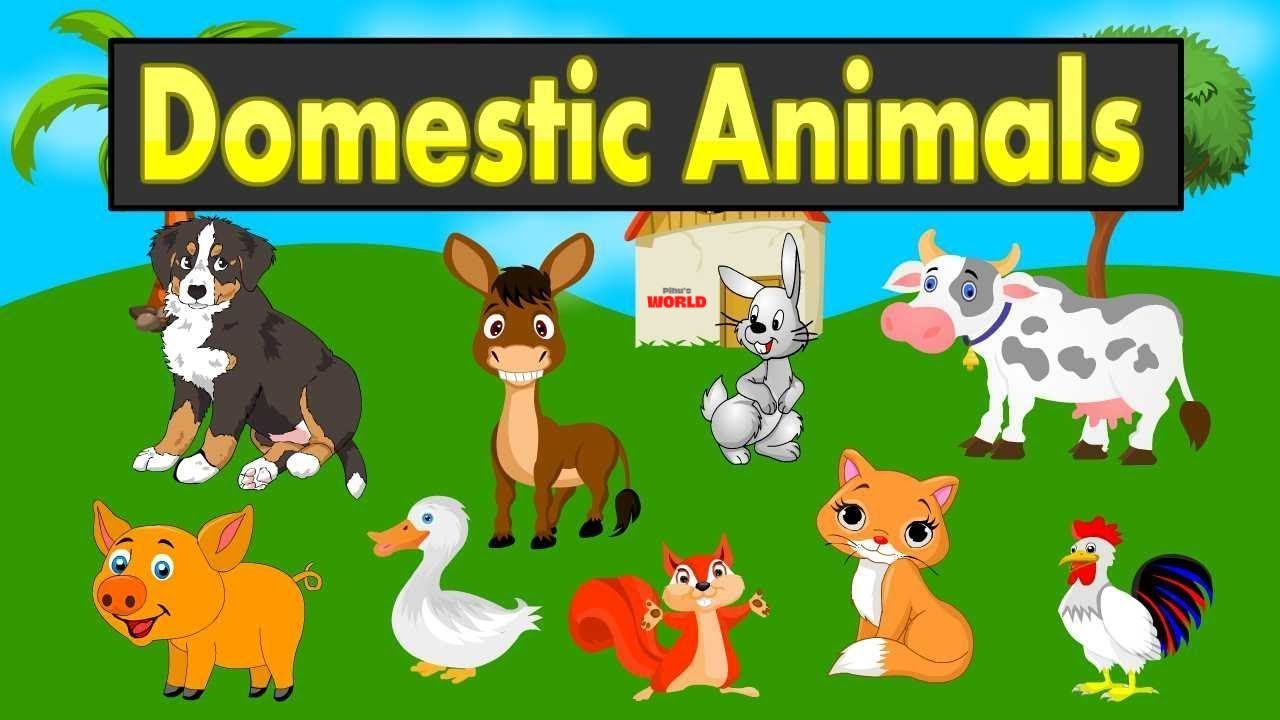 Learn Domestic Animals Name For Kids | Video For Kids| Animals Name for  Toddlers | PIHU'S WORLD - YouTube
