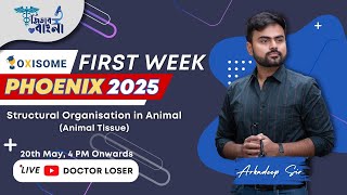 Phoenix 2025 First Week | Structural Organisation in Animal ( Animal Tissue )