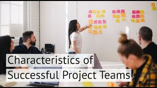 Characteristics of Successful Teams