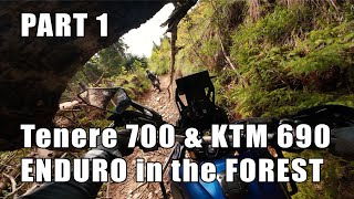 Tenere 700 extreme enduro with KTM 690 pushing and dragging through a fallen forest PART 1 screenshot 4