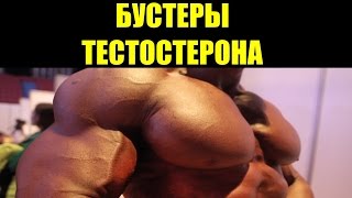 БУСТЕРЫ ТЕСТОСТЕРОНА (ТРИБУЛУС, ZMA, БОР, АСПАРАГИНОВАЯ КИСЛОТА)