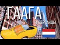 Нидерланды, ГААГА и её САМЫЕ КРАСИВЫЕ МЕСТА. Пешком по Гааге! The Hague, Netherlands