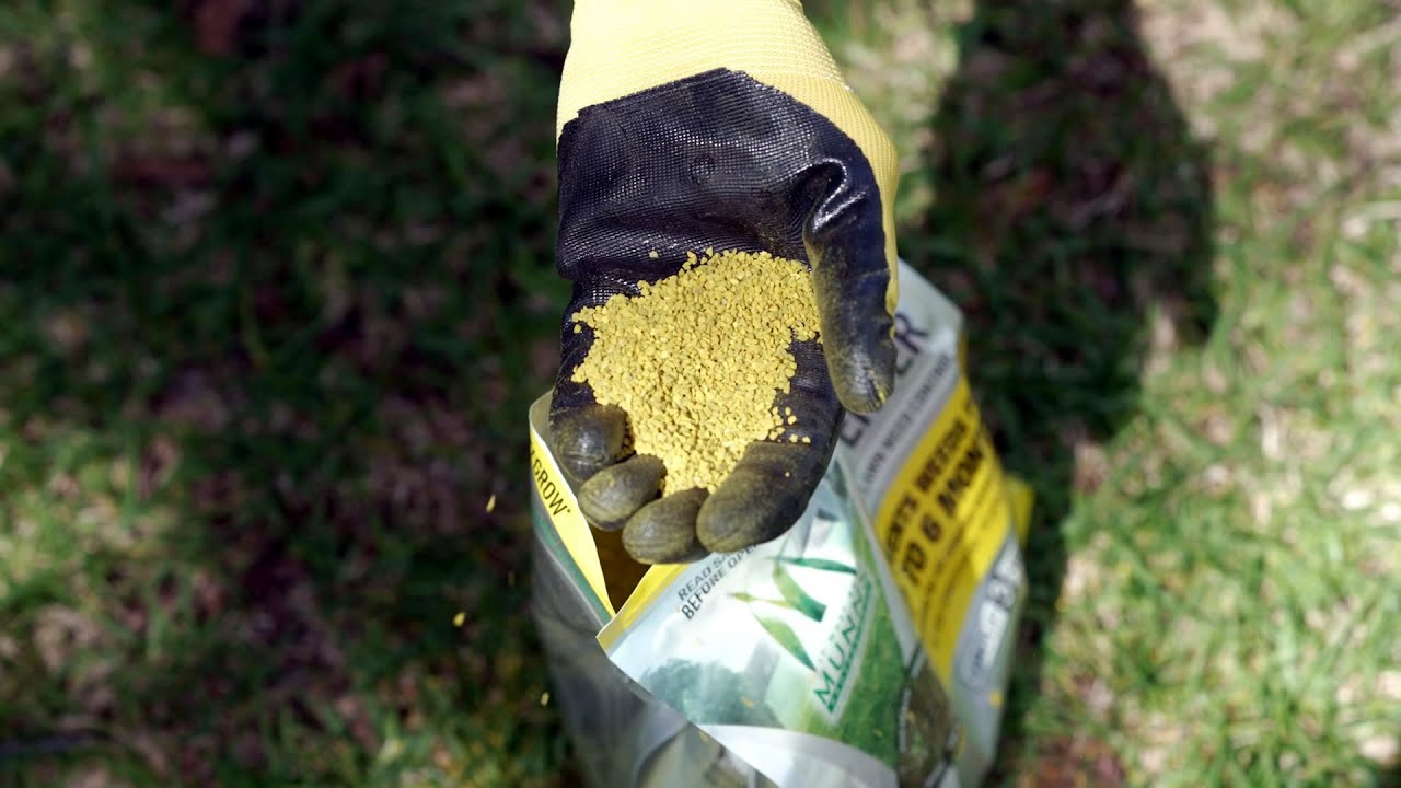 The Garden Gurus - Yates Professional Weed Preventor