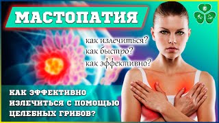 МАСТОПАТИЯ И КАК ЭФФЕКТИВНО ИЗЛЕЧИТЬСЯ С ПОМОЩЬЮ ЦЕЛЕБНЫХ ГРИБОВ! ФУНГОТЕРАПИЯ В ДОМАШНИХ УСЛОВИЯХ!