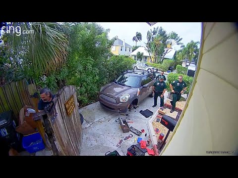 Video: Arrestano Un Pappagallo Che Avvisa Narco Quando Arriva La Polizia