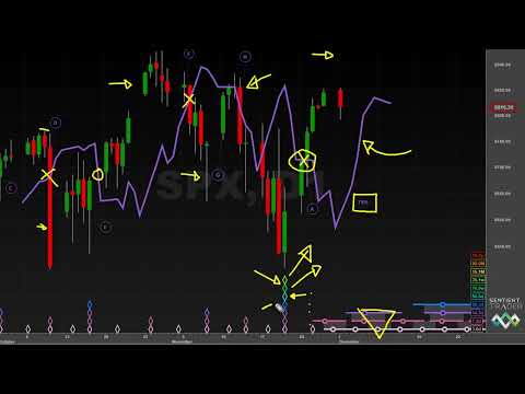 صعود أم هبوط تحديث سوق هيرست سايكلز ١ ديسمبر ٢٠٢٥ 