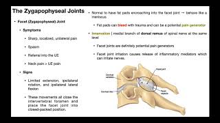 Cervical Facet Joints | Anatomy & Dysfunction