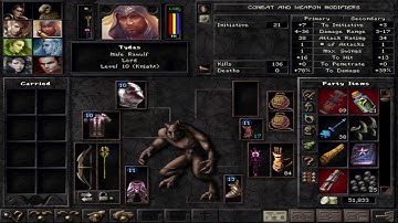 Wizardry 8 - Expanded Mod Part 9 - Northern Wilderness