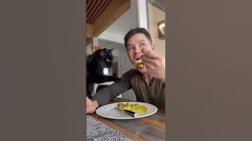 He S Getting Evicted If He Keeps Doing This Cat Bestfriend Catlover Adventure Nature 