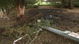 3 of 4 family members killed in Pleasanton car crash ID'd by coroner by ABC7 News Bay Area 1,075 views 1 day ago 25 seconds