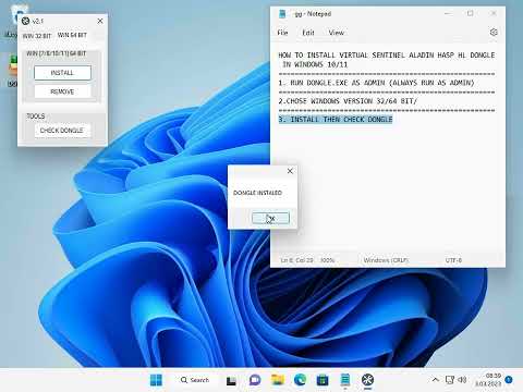 RUN VIRTUAL DONGLE CLONE SENTINEL HASP HL  IN WINDOWS 10 WINDOWS 11
