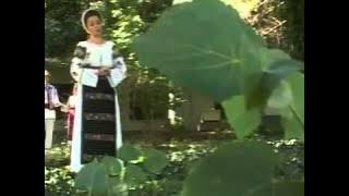Camelia Balmau -Sunt stapan pe viata mea.[ Video Original ].