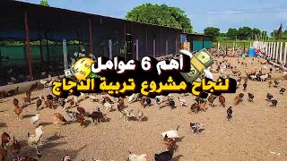 أسباب النجاح في مشروع تربية الدجاج البلدي و السلالات طبق هذه النصائح و ستنجح في مشروعك بإذن الله 🛑