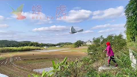 Servo Direct Driven Ornithopter with 2 m Wingspan made a (1st) Successful Flight at Feb. 23rd, 2022