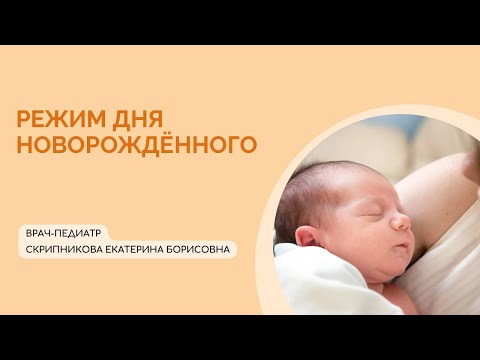 Режим дня новорожденного