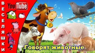 Говорят животные /песенка клип/ - 2017 Вот кукушка на суку говорит ку ку,ку ку Говорят животные /песенка клип/ - 2017 Вот кукушка на суку говорит ку ку,ку ку