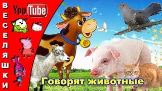 Говорят животные /песенка клип/ - 2017 Вот кукушка на суку говорит ку ку,ку ку