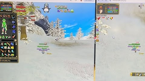 How to control dual window in flyff universe