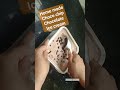 home made choco chip chocolate ice cream