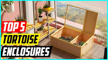 Top 5 Best Tortoise Enclosures.