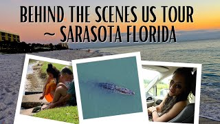 Turtles and Alligators! - Behind The Scenes in Sarasota Florida Profile