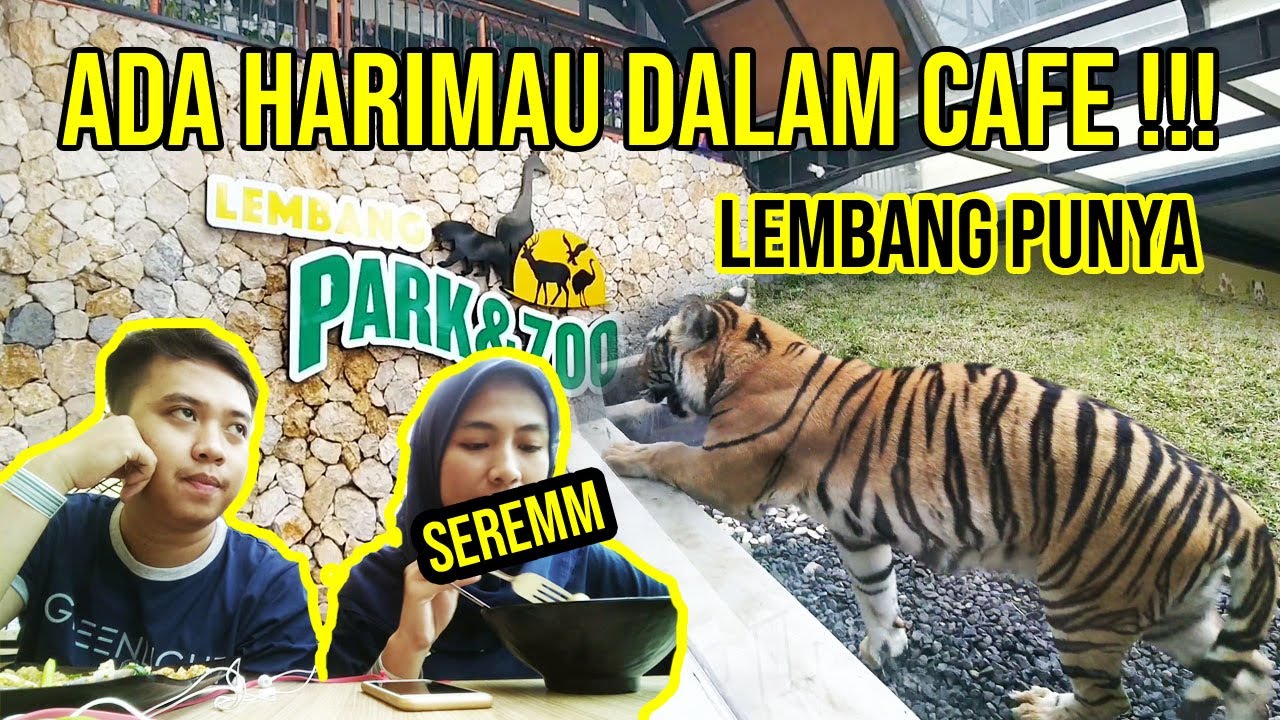 Wisata Kebun Binatang Terbaru Lembang Park & Zoo RNMSTORY