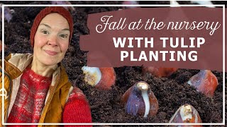 Fall At the Nursery With Tulip Planting