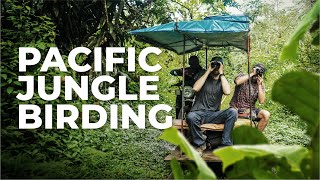 Birding Adventures in Colombia's Pacific Jungle | Valle del Cauca, Colombia | Field Guides