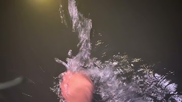 Máy kích cá nước mặn ở ngoài biển 🌊.0985802199