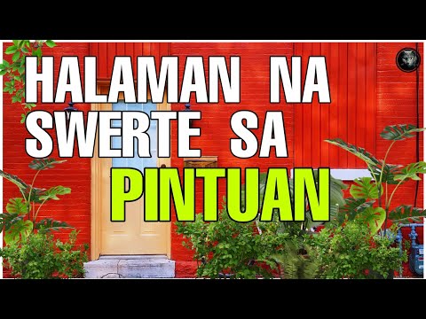 Video: Paano Gumawa Ng Isang Palumpon Ng Mga Tulip Mula Sa Mga Candies Gamit Ang Iyong Sariling Mga Kamay