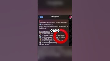 How to check  if a meme coin is a rug pull