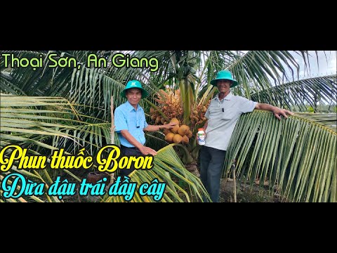 BÀ CON HUYỆN