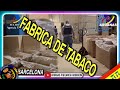Desmantelada fábrica de tabaco en Barcelona, Cataluña - Aduanas SVA