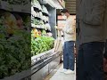 كيف تؤثر مضادات التغذية الموجودة في الطعام على الهضم كيف تؤثر مضادات التغذية الموجودة في الطعام على الهضم