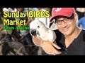 Sunday BIRDS Market Karachi | Lalukhet Birds in Pakistan | Video in URDU/Hindi