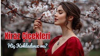Kiraz Çiçekleri | Siz Hiç Kokladınız mı? 🌸 | Enerjik Balkan Folk Şarkısı 