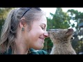 Wildlife HQ Zoo Meerkat Mischief & Quokka Kisses