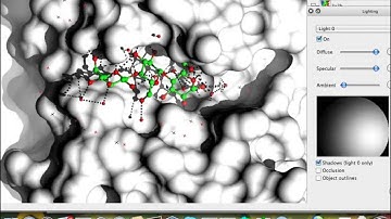 CCP4 Molecular Graphics (CCP4-MG)