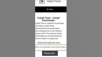 How to Download Videos from Cobalt Tools Downloader ?