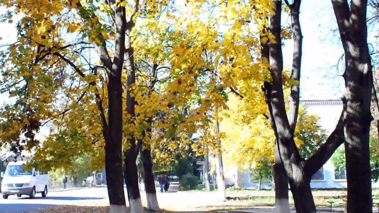 Осенняя Кодыма