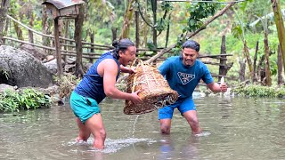 Gau Ma Maccha 🐟Chorera Khaiyo