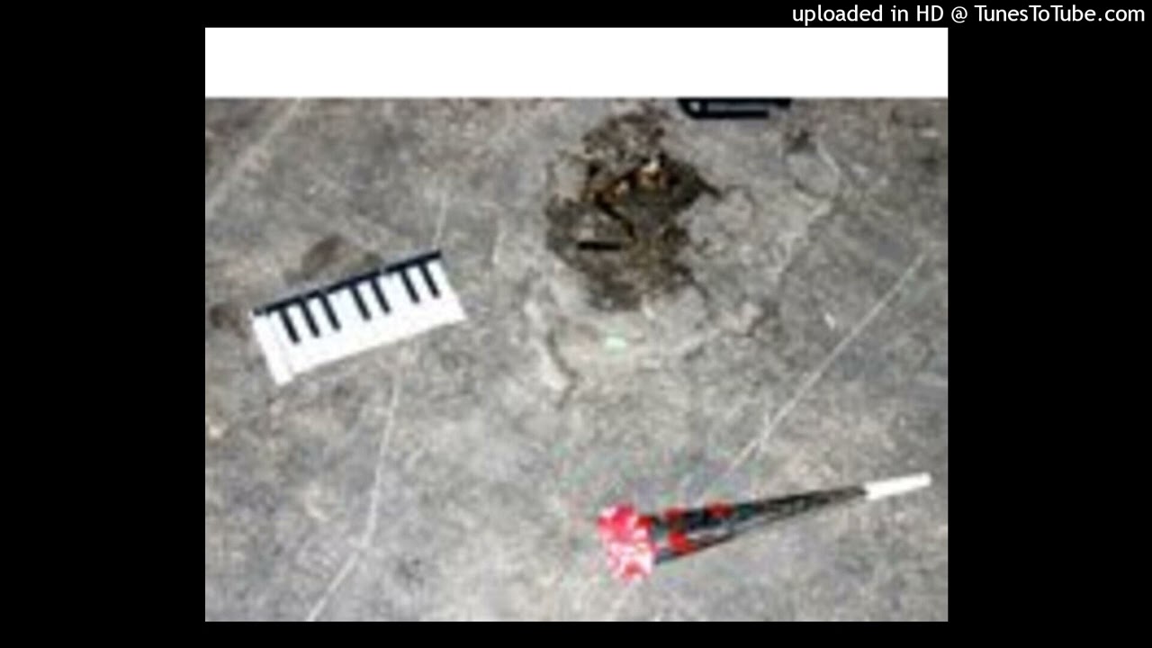 Computerization - Snapdragon