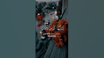 صلوا عليه وسلموا تسليما ، تلاوة عطرة من سورة الاحزاب بصوت القارئ أحمد النفيس #قرآن #quran #تلاوة