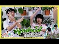 ต้นไม้ของผม!! ปลูกยังไงไม่ใช้ดิน? | ไปกับปิ๊ป Ep.3