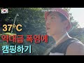 역대급 폭염에 떠난 캠핑 왕초보의 여름 휴가 - 국내 여행 (단양 소선암 오토캠핑장)